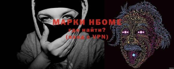 гашик Верея