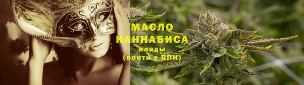 гашик Верея