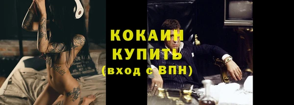 гашик Верея
