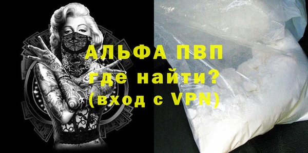 гашик Верея